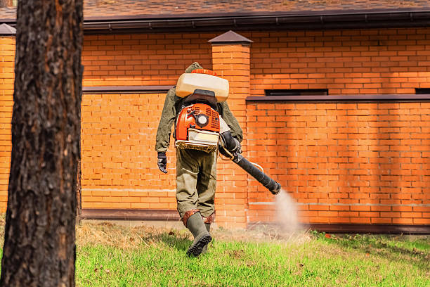 Trusted Mosquito Control service in Pea Ridge, WV - Nex Pest Control